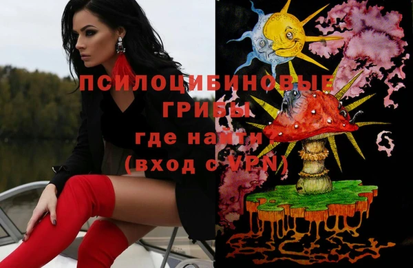 дмт Аркадак