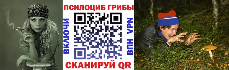 Купить закладки  Осташков  Псилоцибиновые грибы прущие грибы 